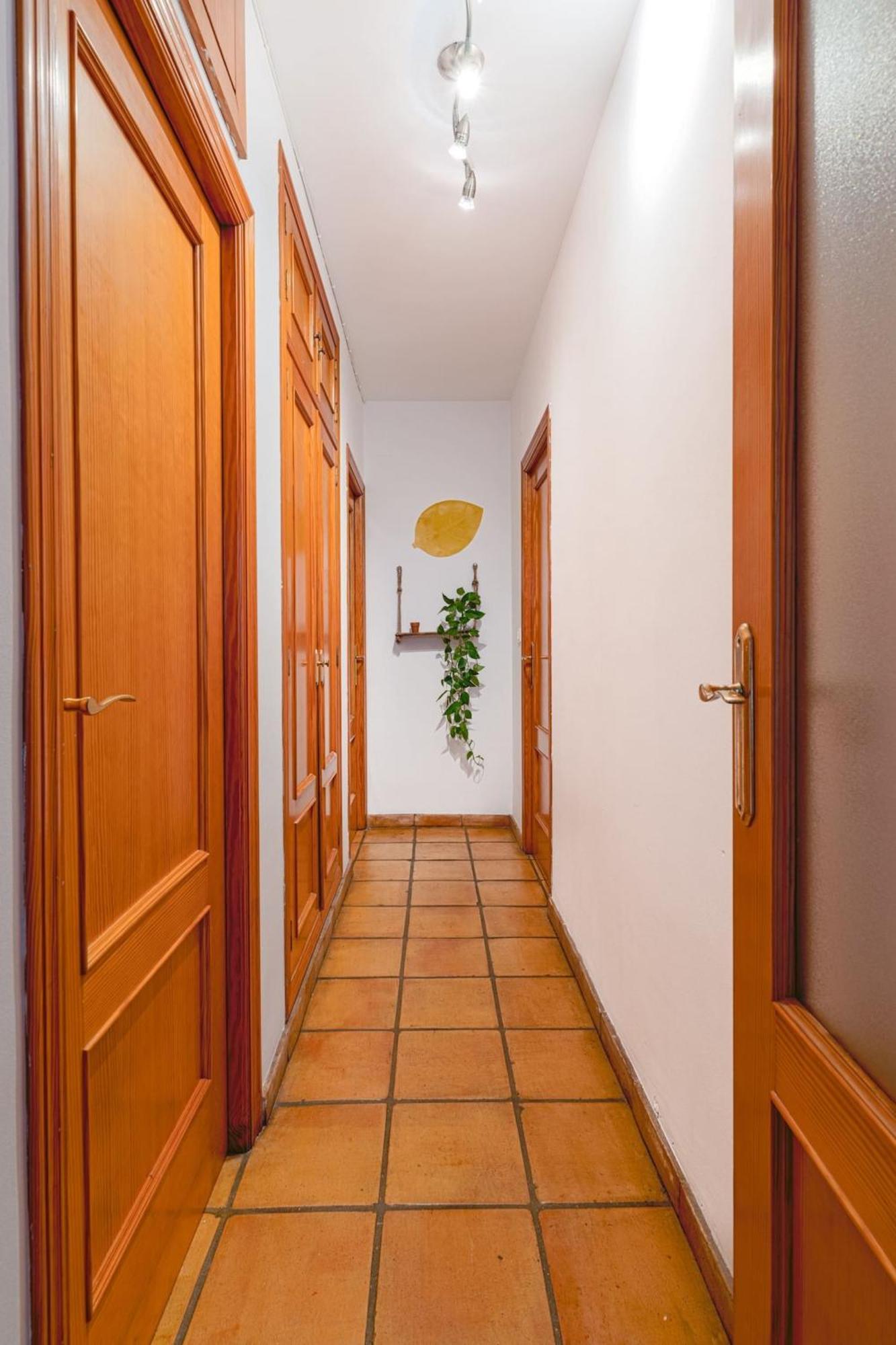 Musico Turia Gardens Apartment Valencia Bagian luar foto